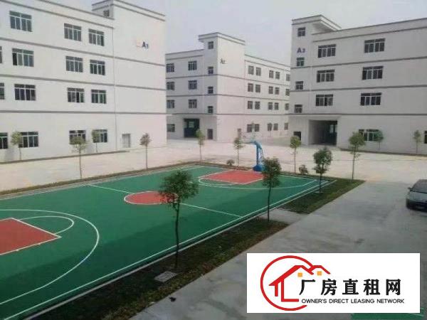  清溪铁松新出原房东9500独栋厂房（水电齐全）（可分租）
