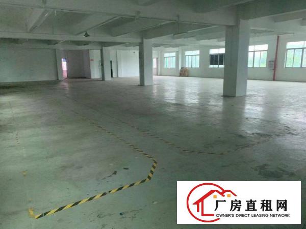  清溪原房东独门独院厂房实际面积出租！(可分租)靠近高速路口