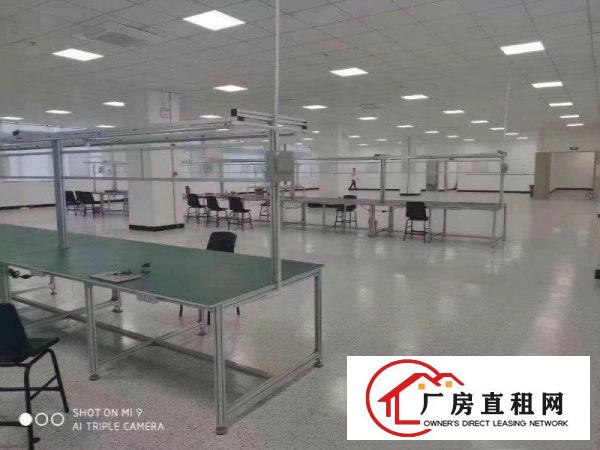  三中新出楼上2800平方有现成塑胶玩具环保证厂房出租