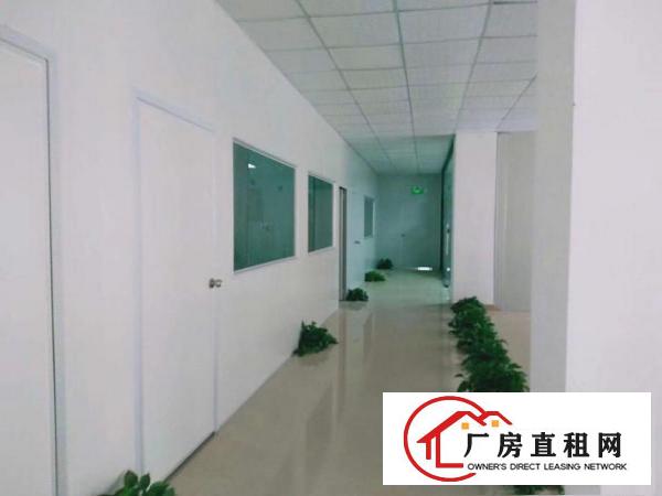  清溪三中新出原房东二楼1200平方带装修急租
