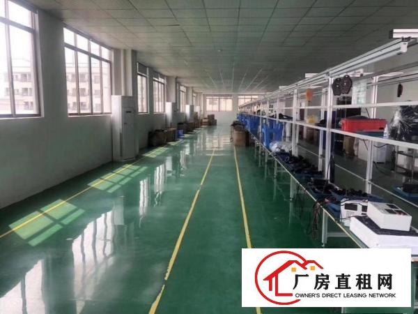  清溪三中新出原房东二楼1200平方带装修急租
