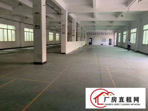  （原房东直租）清溪三中近凤岗原房东一整层1300平现成水电