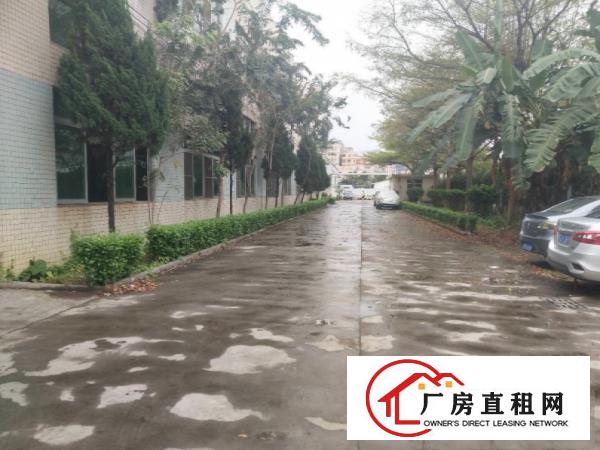  清溪三中大型工业园新出厂房一楼高度5米400平米出租现成行车