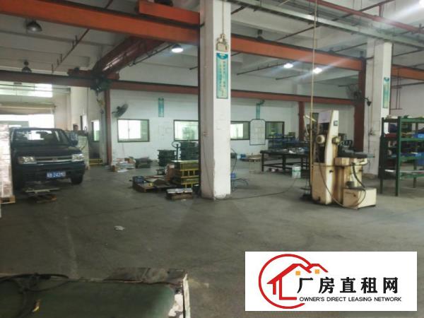  清溪三中大型工业园新出厂房一楼高度5米400平米出租现成行车