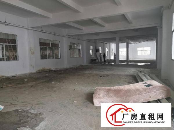  清溪镇中心原房东独院厂房1180平米出租