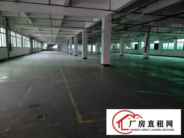  清溪新出空地超大48000平独院出租