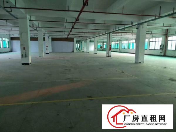  清溪新出空地超大48000平独院出租