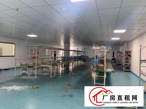  清溪三中楼上700平厂房急租，带现成水电办公室装修