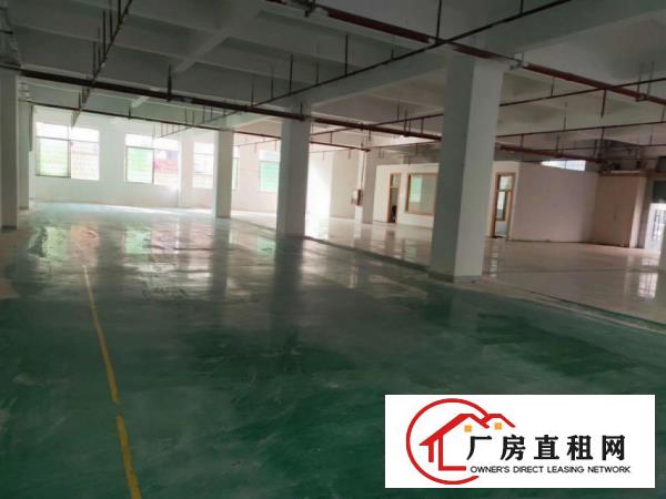  清溪浮岗新出原房东豪华装修带环评一楼1350平厂房出租