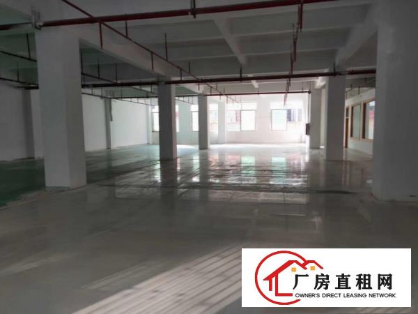  清溪浮岗新出原房东豪华装修带环评一楼1350平厂房出租