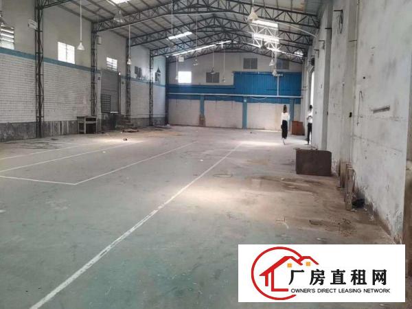  清溪单一层砖墙到顶标准小独院钢构厂房出租1200平水电齐