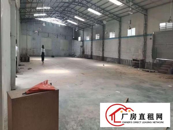  清溪单一层砖墙到顶标准小独院钢构厂房出租1200平水电齐