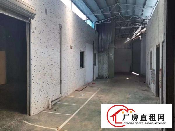  清溪单一层砖墙到顶标准小独院钢构厂房出租1200平水电齐
