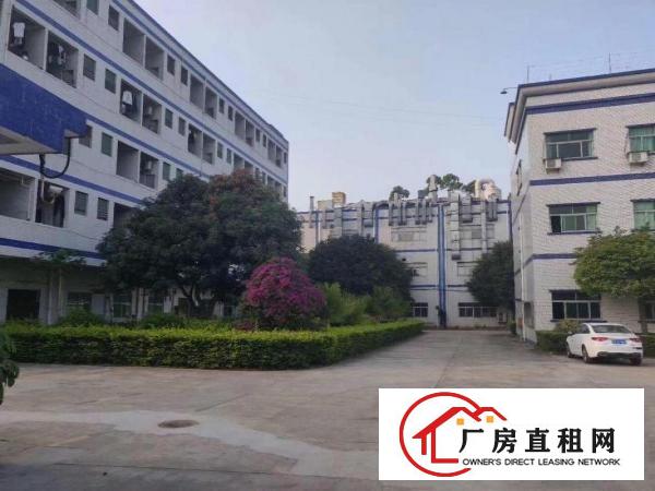  清溪土桥新出花园式原房东独门独院厂房实际面积，形象好，