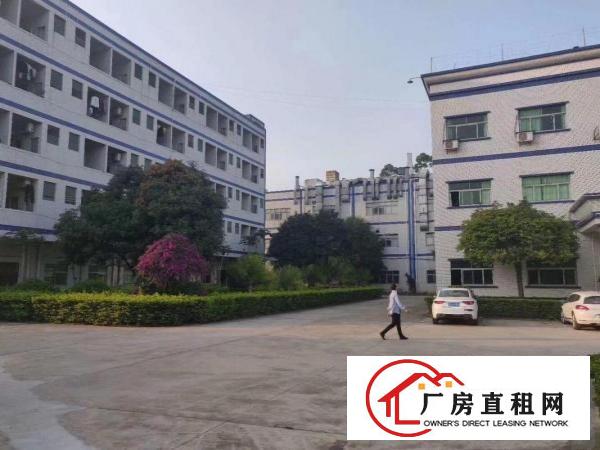  清溪土桥新出花园式原房东独门独院厂房实际面积，形象好，