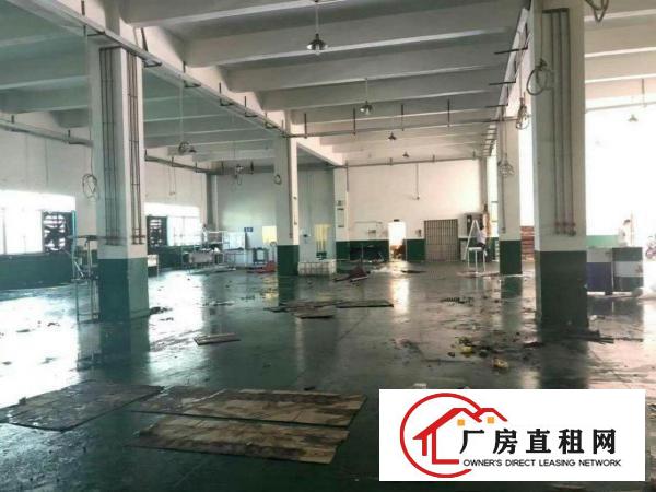  清溪镇新出标准厂房一楼550平方，带现成办公室装修出租。