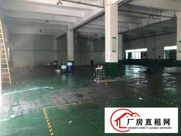  清溪镇新出标准厂房一楼550平方，带现成办公室装修出租。