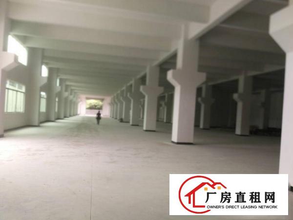  清溪镇九乡村原房东新建两层独门独院钢结构厂房6800平