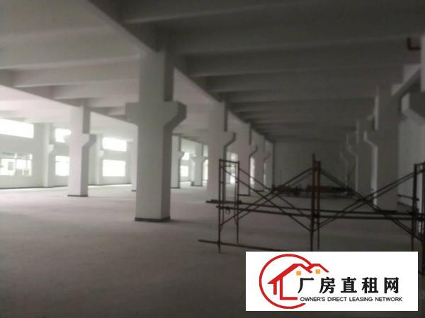 清溪镇九乡村原房东新建两层独门独院钢结构厂房6800平