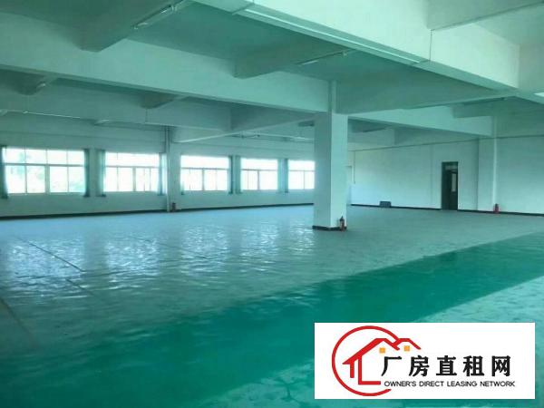  清溪镇高新园区标准厂房1至2楼2400平方，带现成装修。