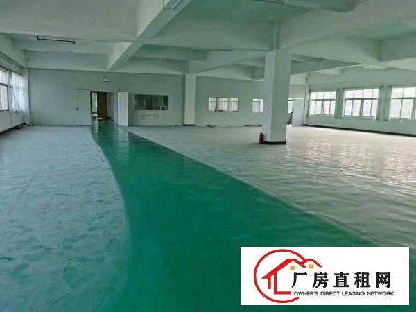  清溪镇高新园区标准厂房1至2楼2400平方，带现成装修。