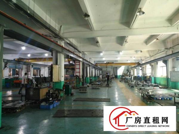  清溪镇原房东标准厂房一楼1280平方，带行车出租。