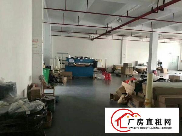  清溪镇新出标准厂房二楼1180平方，带装修出租。