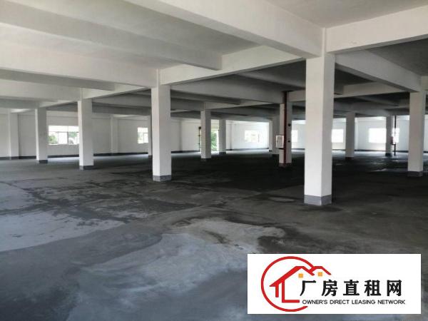  1楼2902平，2楼2200平。大小可分租。价格面谈，优惠多