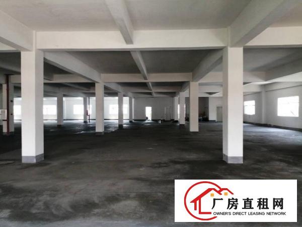  1楼2902平，2楼2200平。大小可分租。价格面谈，优惠多