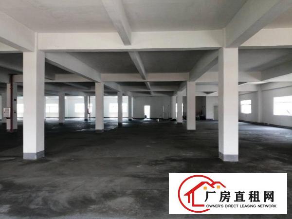  1楼2902平，2楼2200平。大小可分租。价格面谈，优惠多