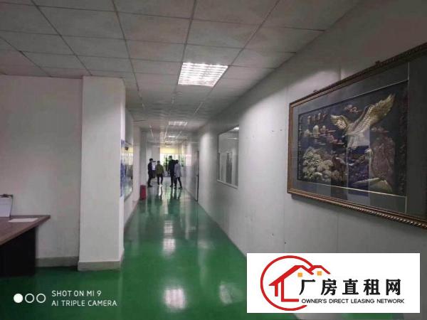 清溪三中原房东二楼2000平方带装修急租