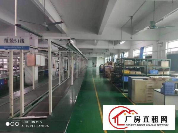  清溪三中原房东二楼2000平方带装修急租