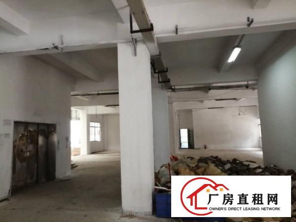  清溪z便宜厂房，10元起。大小可分租。300至1500。按需