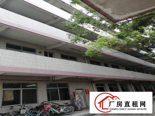  清溪z便宜厂房，10元起。大小可分租。300至1500。按需