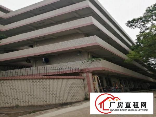  清溪z便宜厂房，10元起。大小可分租。300至1500。按需
