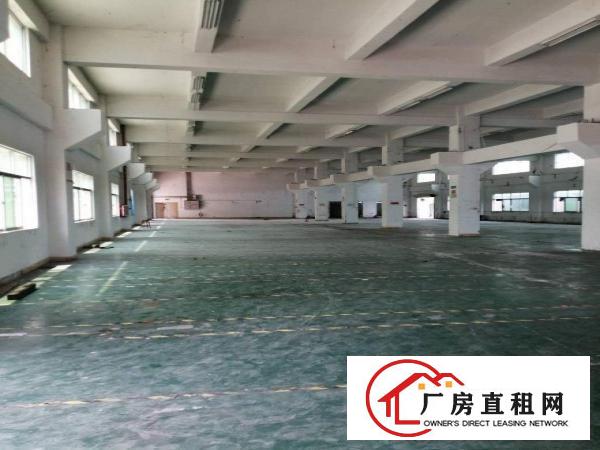  原房东独院标准厂房1层，1500平，高8米。合适五金模具等