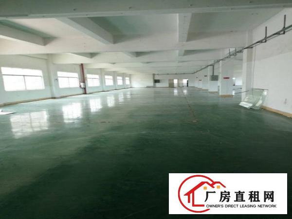  原房东独院标准厂房1层，1500平，高8米。合适五金模具等