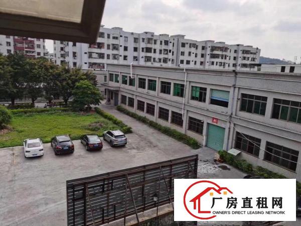  清溪香芒西路园林式厂区30000平方火爆分租