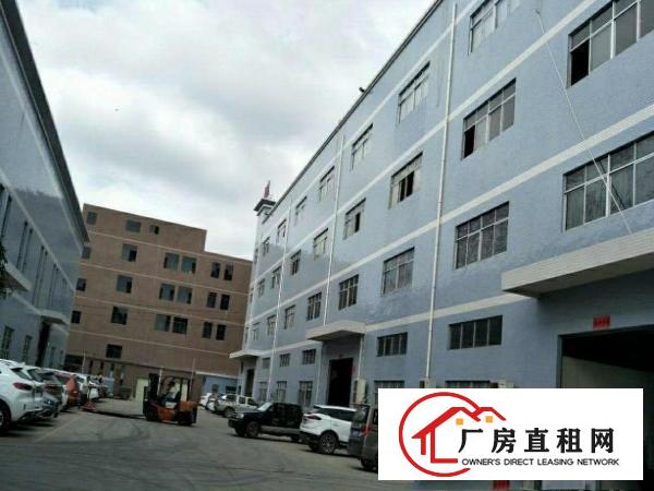  原房东出租清溪新出一楼400.800.1000平方带装修