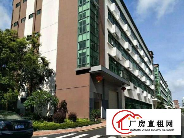  原房东出租清溪新出一楼400.800.1000平方带装修