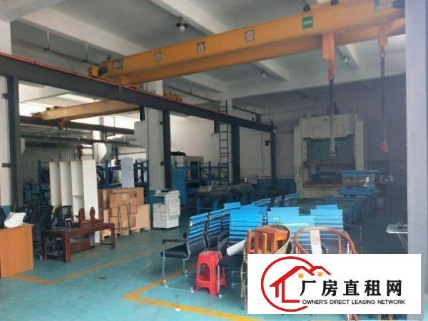  原房东出租清溪新出一楼400.800.1000平方带装修