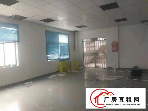  清溪大利新出一楼厂房500平方13元低价急租