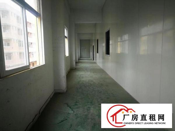  清溪大利工业园区标准厂房有二楼800平三楼400平分租