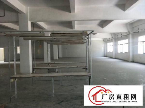  清溪大利工业园区标准厂房有二楼800平三楼400平分租