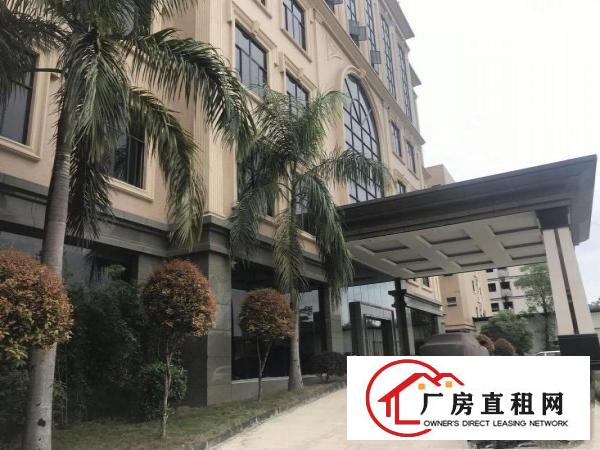  楼上厂房500平方起租适合电子电池楼上各行各业