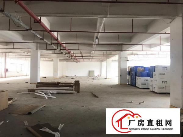  楼上厂房500平方起租适合电子电池楼上各行各业