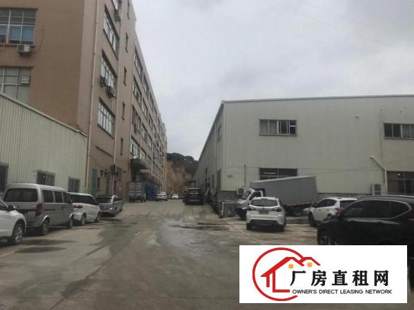  楼上厂房500平方起租适合电子电池楼上各行各业