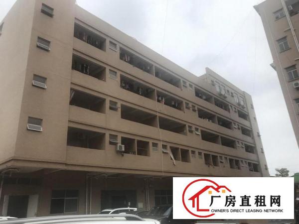  楼上厂房500平方起租适合电子电池楼上各行各业