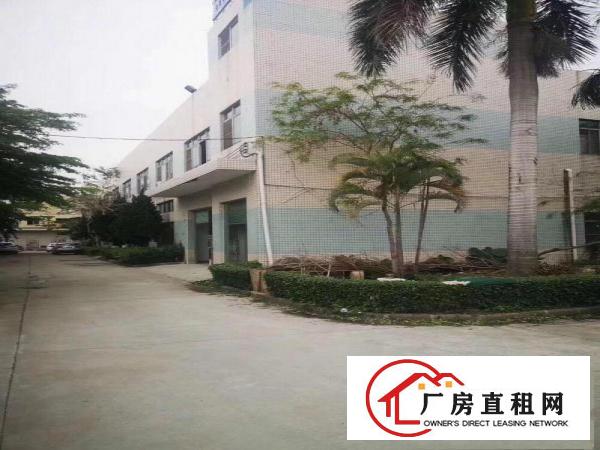  清溪三中标准二楼厂房1500平方