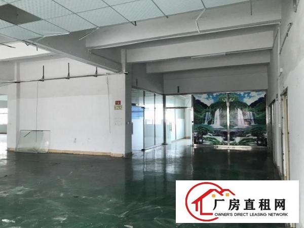  清溪三中标准二楼厂房1500平方